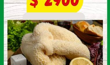 ¡OFERTAS DE SUPERMERCADO ALMACOR!