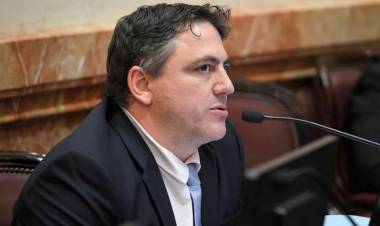 Echaron a  un senador de La Libertad Avanza