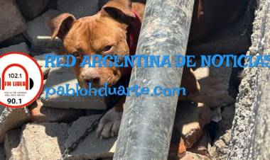 NIÑOS ATACADOS POR UN PITBULL