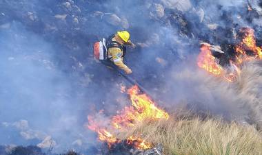 Incendios: se inició un foco
