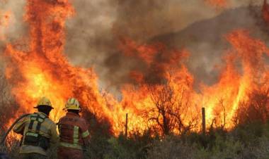 Córdoba: se reportan dos focos activos 