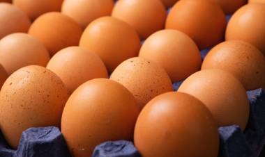 Incendio por un maple de huevos