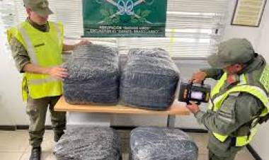 Hallan 110 kilos de hojas de coca en un transporte de paquetería