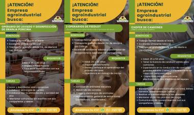 Nuevas ofertas laborales