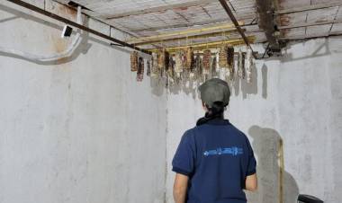 Controles en departamento Ischilín por brote de triquinosis