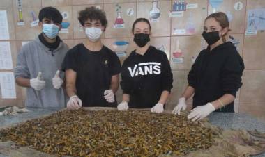Estudiantes transforman colillas de cigarrillos en agendas