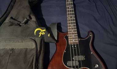 Recuperaron el "bajo" sustraído a "La Barra" 