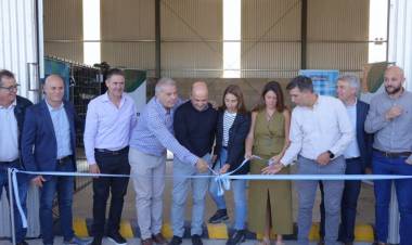 Nuevo Centro de Almacenamiento Transitorio de envases vacíos