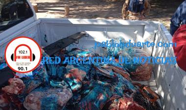 Carnicerías y mataderos clandestinos