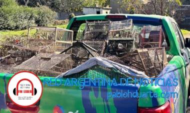 Se encontraban en cautiverio