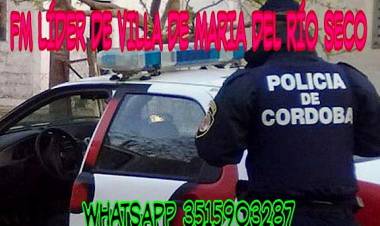 Chocaron contra un árbol