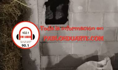 Intentó robar en una forrajeria