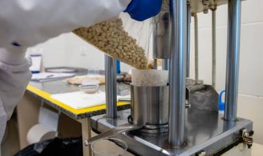 Mayor exportador mundial de maní