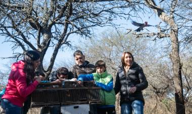 Liberan más de 60 animales silvestres