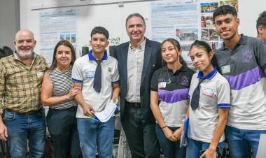 Proyectos educativos y productivos