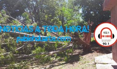 DESPUES DE LA TORMENTA