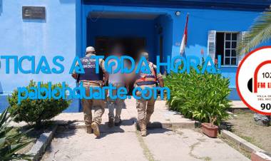 Animales sin documentos