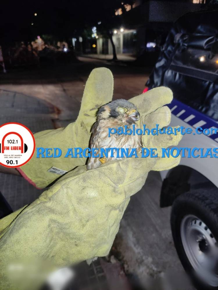 Sorpresa en el centro