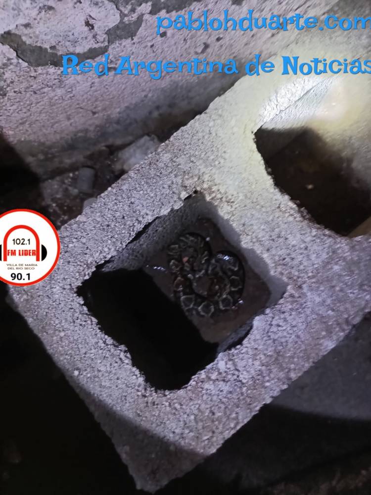 Preocupante sorpresa