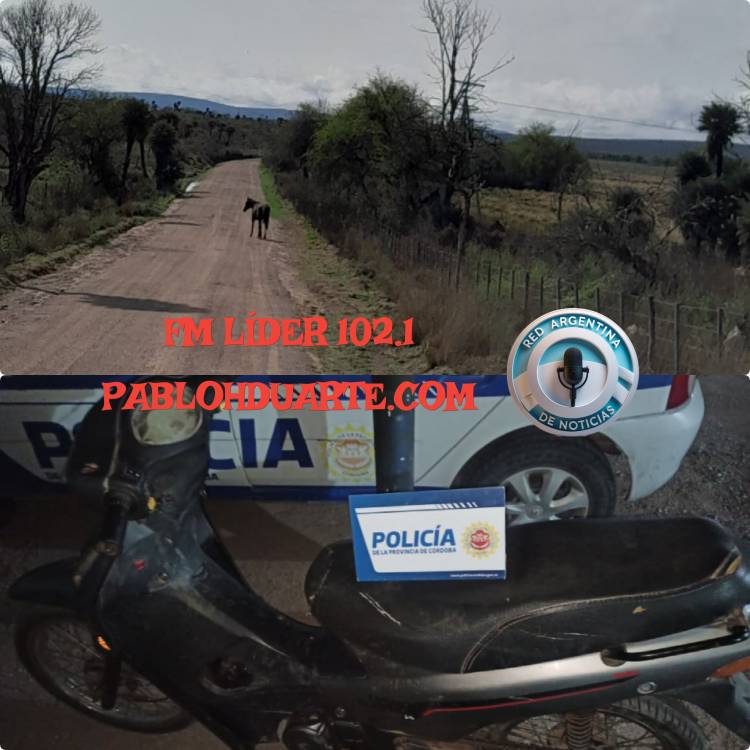 DEPARTAMENTO SOBREMONTE. 