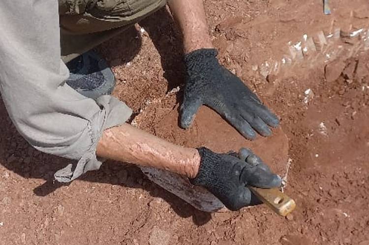 Hallazgo histórico en Córdoba