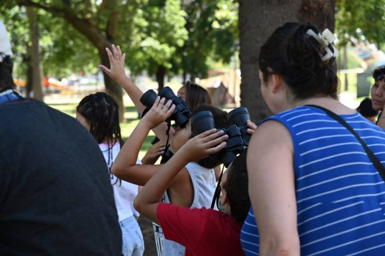 Plaza Cielo Tierra presenta su programación de Talleres de Verano 2026