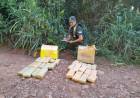 Abandonan más de 320 kilos de marihuana 