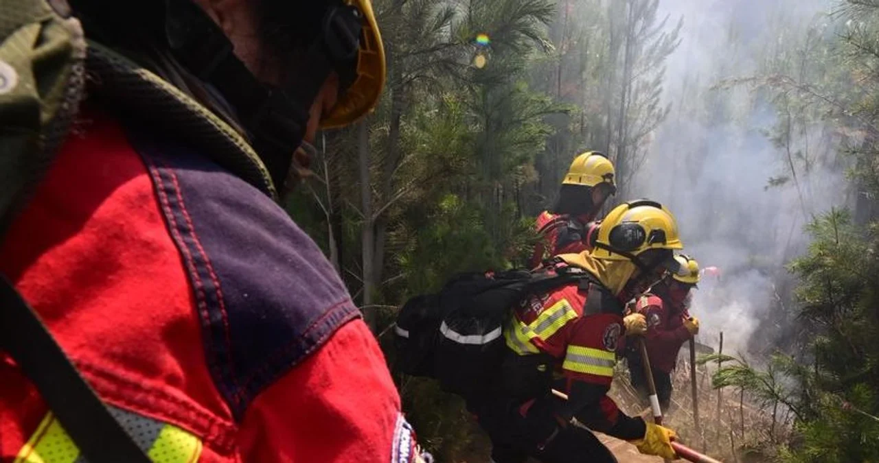 Continúa la labor para extinguir los incendios forestales