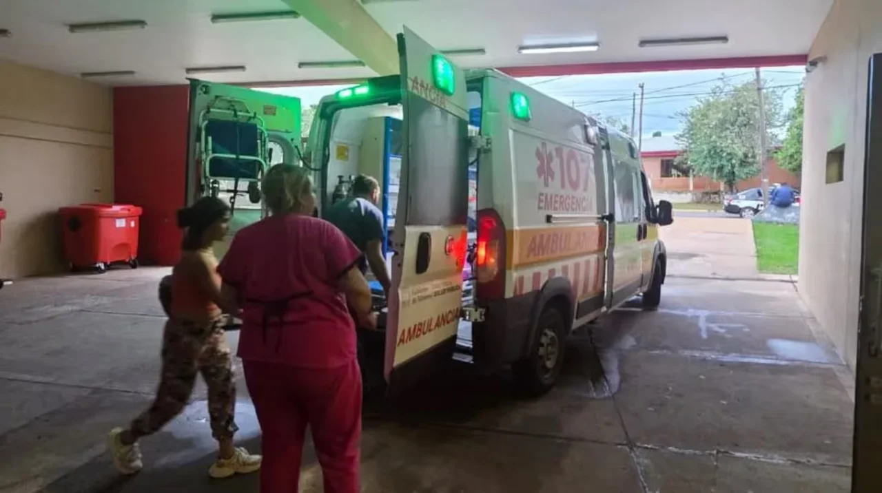 Un nene fue atacado por siete perros 