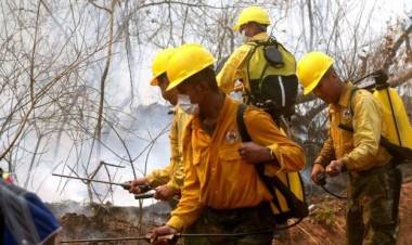 Incendios en el Amazonas: las críticas contra Bolivia y Paraguay