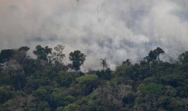 Incendios en el Amazonas: "Daré mi última gota de sangre por esta selva"