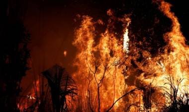 Incendios en el Amazonas: El pacto de 7 países de Sudamérica