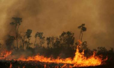 Un juez del Supremo pide a Bolsonaro que explique el vínculo entre las ONG y los incendios amazónicos