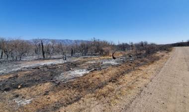 Incendios: cargan las Declaraciones Juradas por Desastre Agropecuario