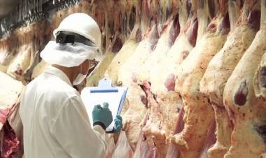 China detectó coronavirus en carne argentina