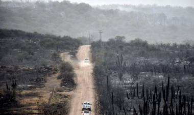 Oficial: se quemaron más de 60 mil hectáreas