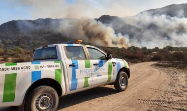 Incendios: proponen declarar Desastre Agropecuario