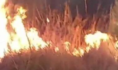 Incendio en Reserva Natutal