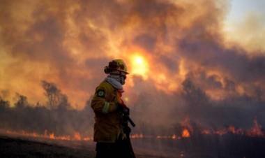 Delta del Paraná: Ya se quemaron casi 100 mil hectáreas 