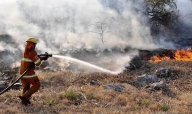  Incendios forestales: Detuvieron a tres personas