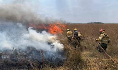 Se reavivaron focos de incendio en el Delta del Paraná