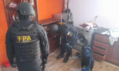 Perro de la FPA halló drogas en un horno 