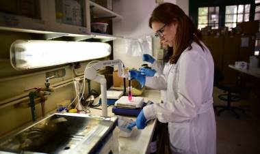  Día Internacional de la Mujer y la Niña en la Ciencia