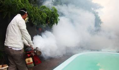 Paraguay: más de 24 mil casos de chikungunya
