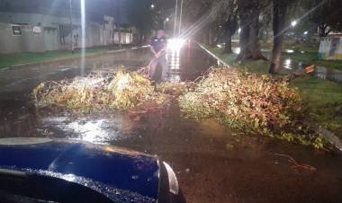  La Provincia releva daños tras la tormenta