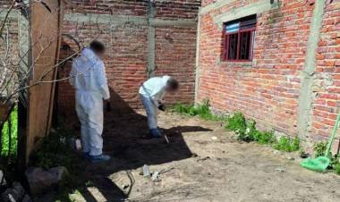 México: encontraron cuatro cráneos calcinados