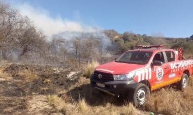 Bomberos combaten cinco incendios forestales