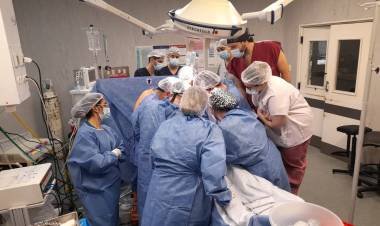 Donación de órganos: Córdoba hizo posibles más de 400 trasplantes 