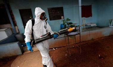 Aumentaron los brotes de dengue en Brasil 