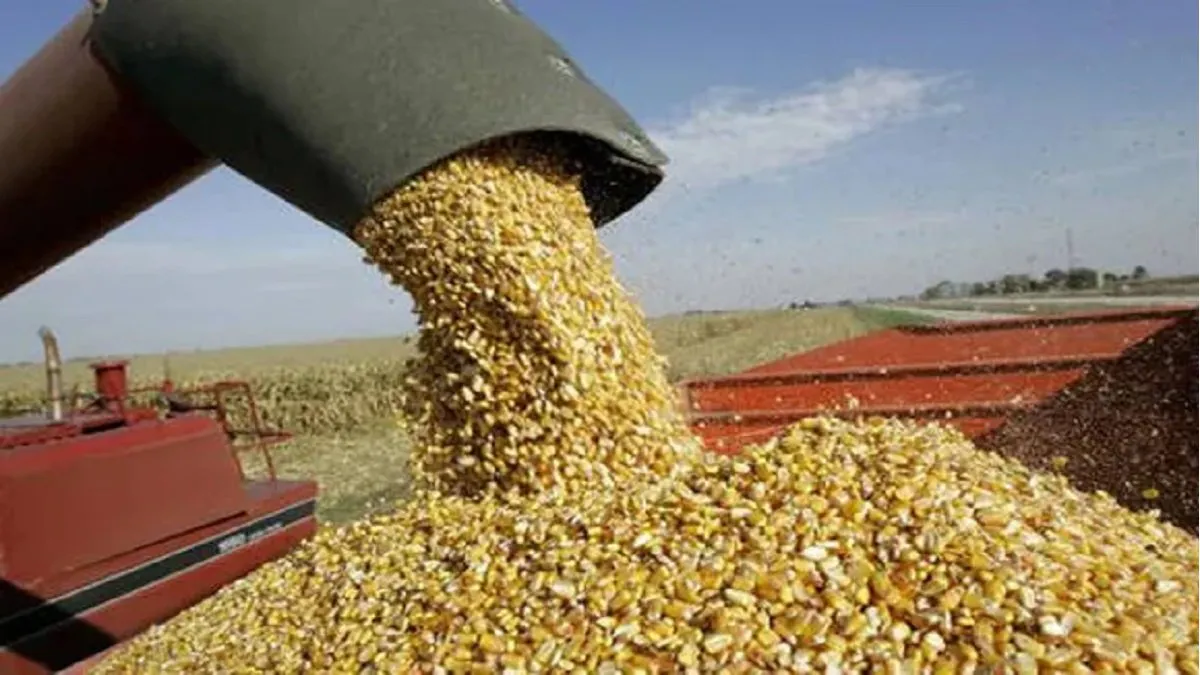 Brasil busca exportar soja y maíz desde Perú